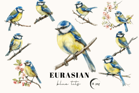 Blue Tit Bird Clipart: Whimsical Nature-Inspired Design Assets