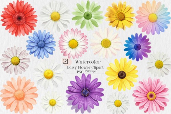 Designing with Daisy Flower Watercolor Clipart